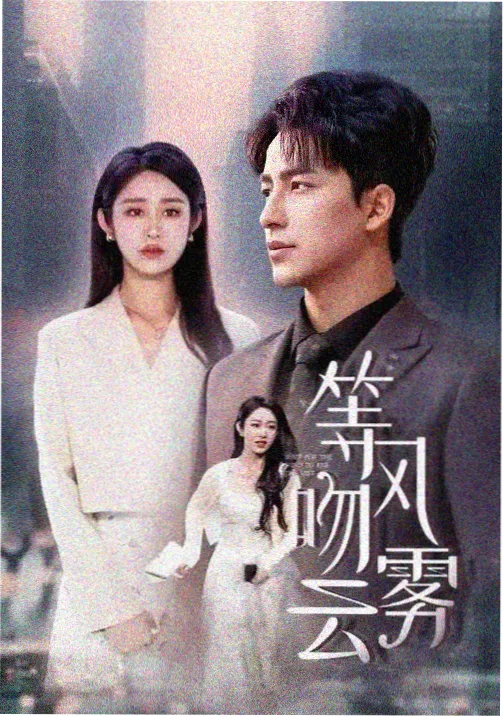 伏笔回收率榜首剧集图鉴缩略图